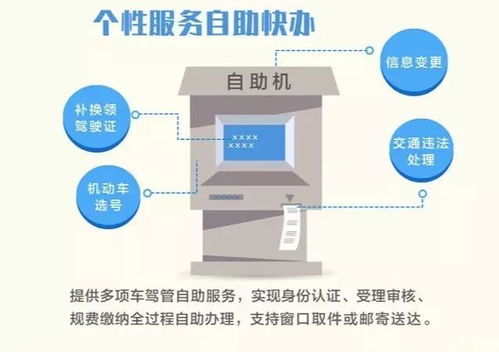 标准化办理流程